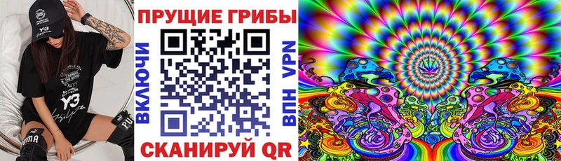 Псилоцибиновые грибы GOLDEN TEACHER цена наркотик Калининск