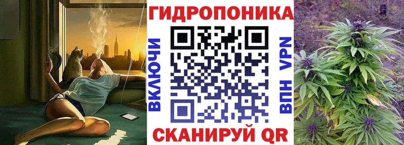 купить наркотики сайты Калининск Бошки Шишки Ganja